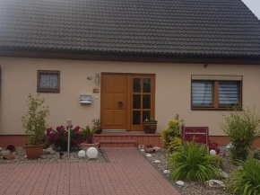 Modern holiday apartment with large garden 500 m away from the river Moselle